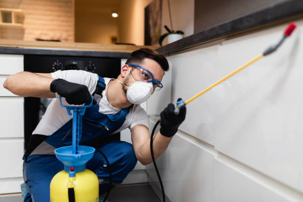 Best Flea Control Services  in Espy, PA